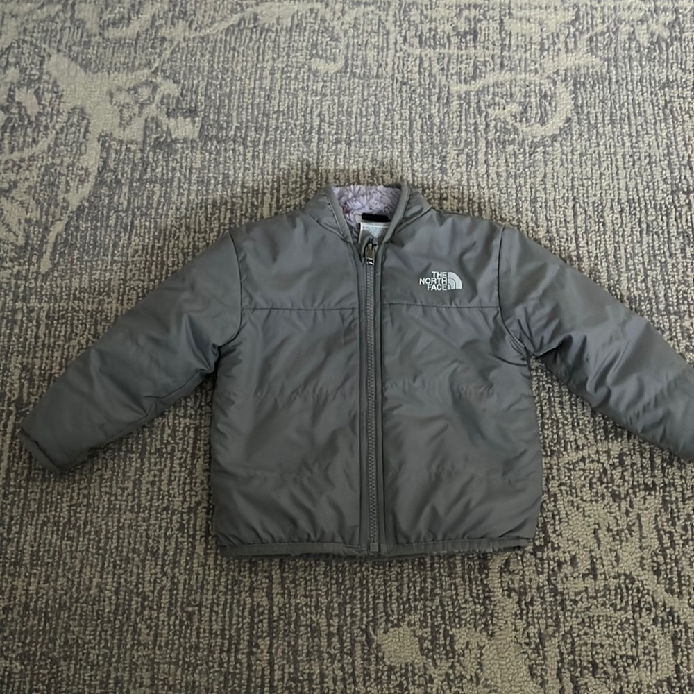 North Face Winter Jacket ( without hood)
